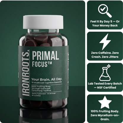 Primal Focus™ by IRONROOTS