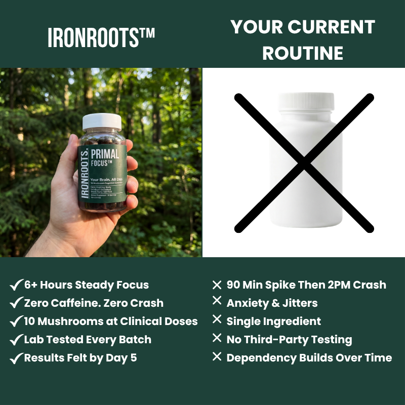 Primal Focus™ by IRONROOTS