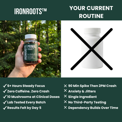 Primal Focus™ by IRONROOTS